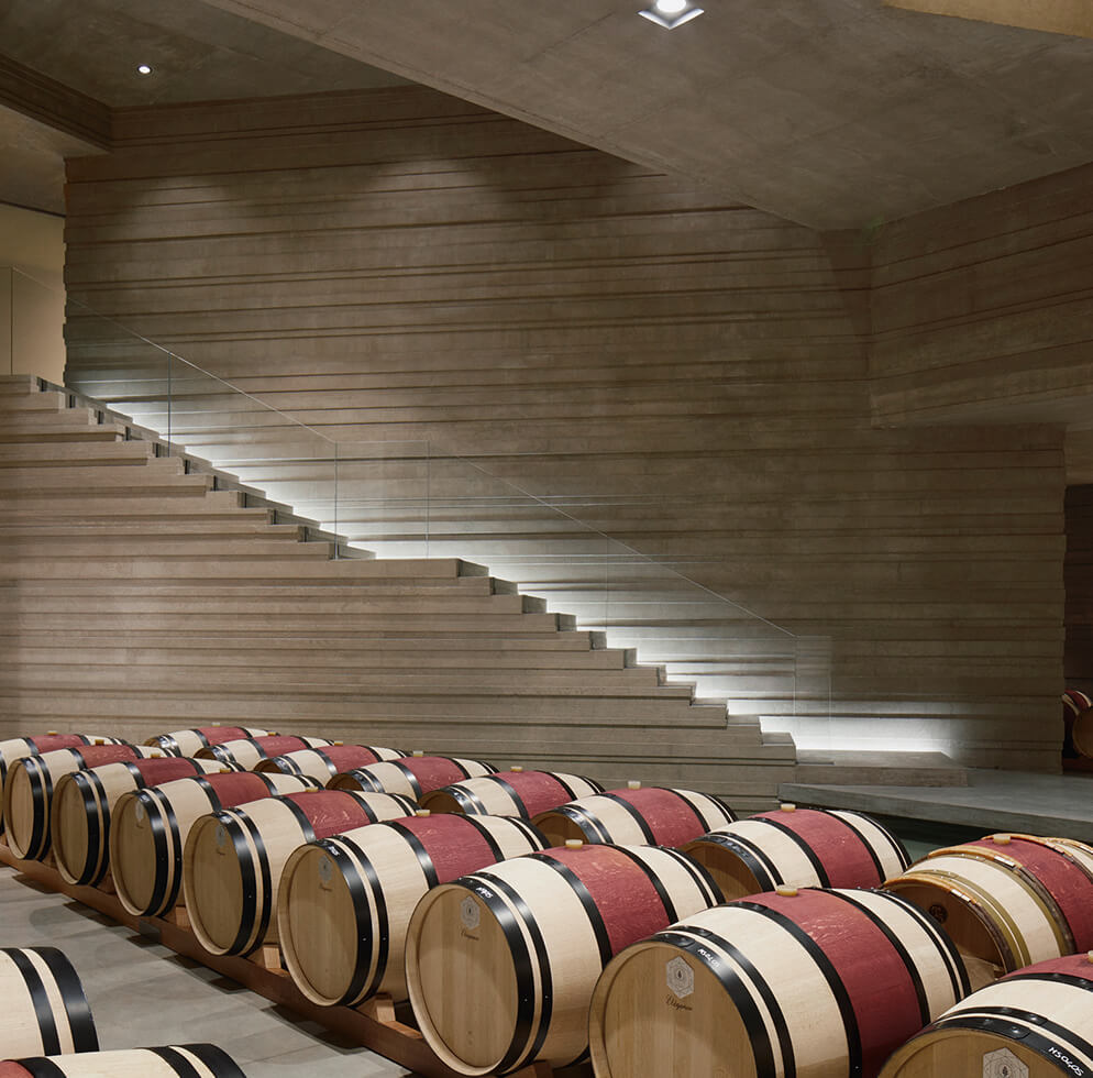 Wine - Massetino 2020 | Masseto